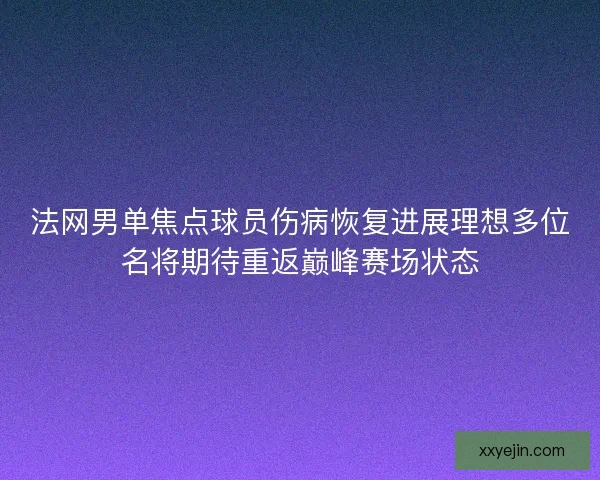 法网男单焦点球员伤病恢复进展理想多位名将期待重返巅峰赛场状态